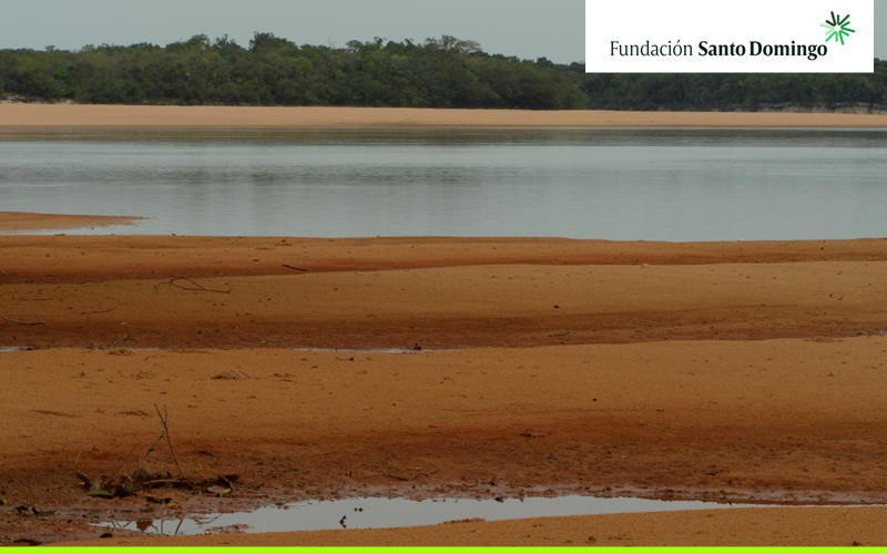 La Fundación Mario Santo Domingo apoya la preservación de 15 especies de flora y fauna