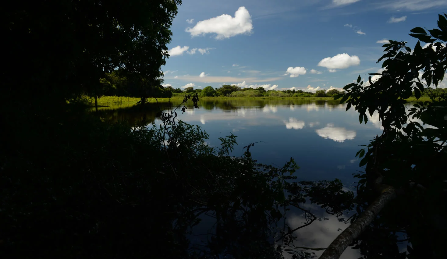 Ciénaga La Colorada