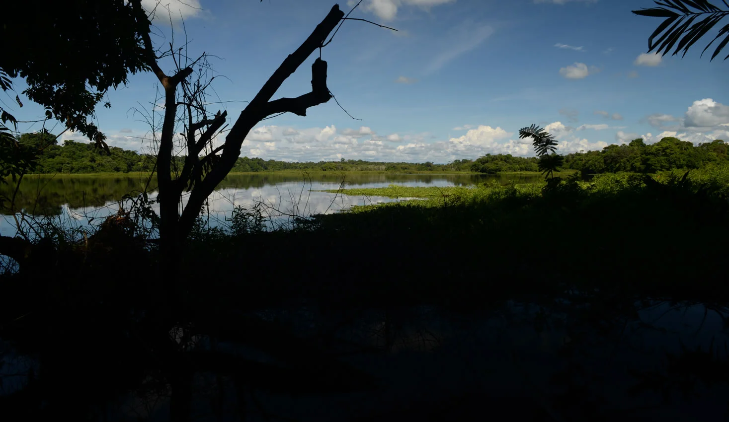 Ciénaga La Colorada