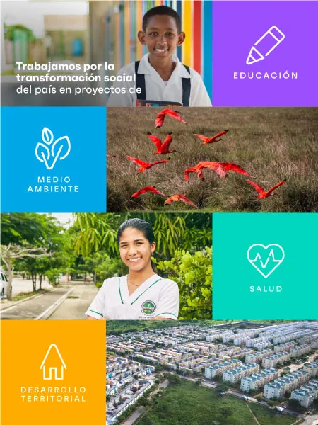 Fundación Santo Domingo Líneas Estratégicas 2023