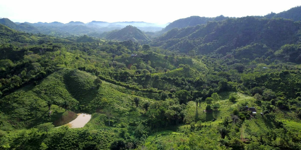 Proyecto ambiental logra proteger 5.000 hectáreas de bosque seco tropical en los Montes de María